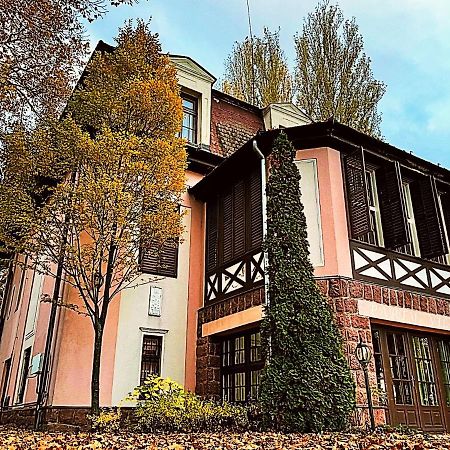 Party Villa Holiday Rent Balatonföldvár 外观 照片