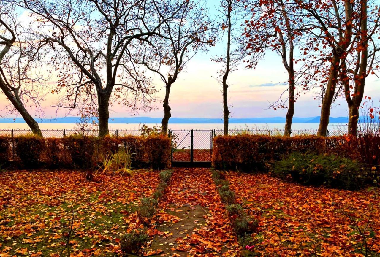 Party Villa Holiday Rent Balatonföldvár 外观 照片