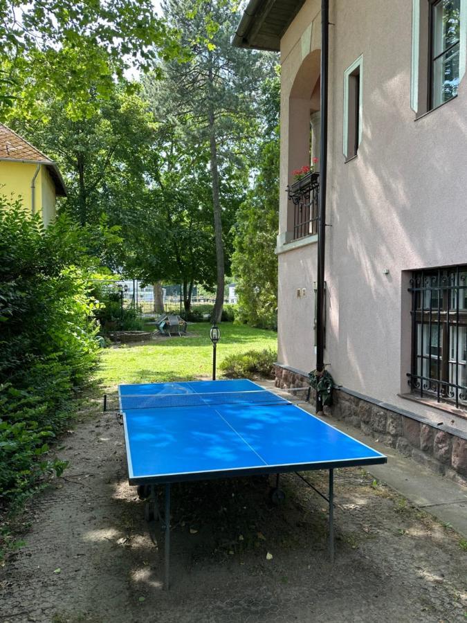 Party Villa Holiday Rent Balatonföldvár 外观 照片