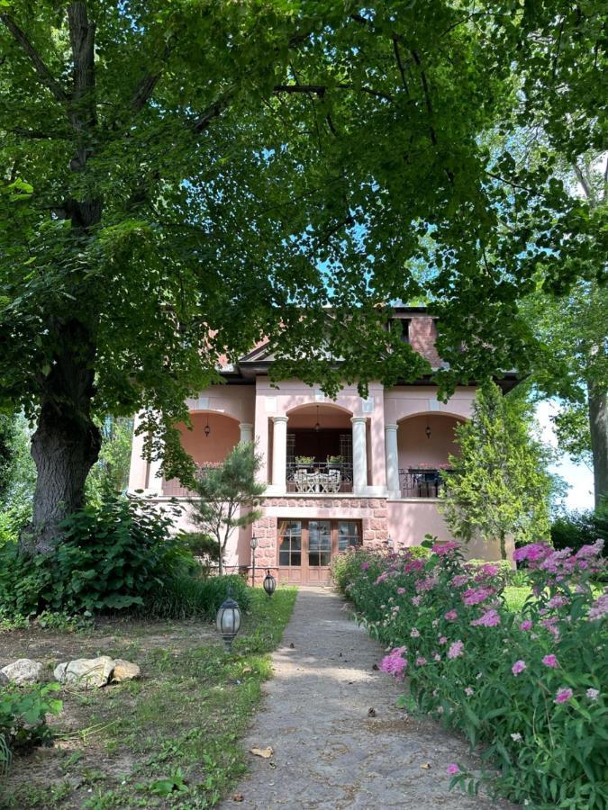 Party Villa Holiday Rent Balatonföldvár 外观 照片