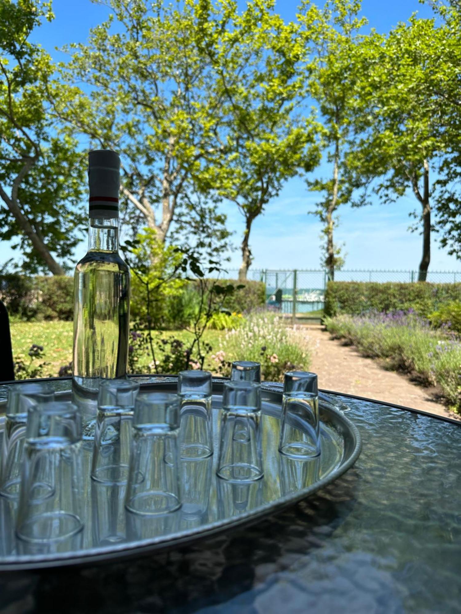 Party Villa Holiday Rent Balatonföldvár 外观 照片